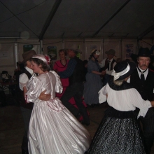 IMGP3531