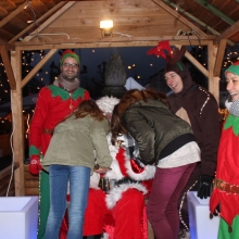262IMG_2093