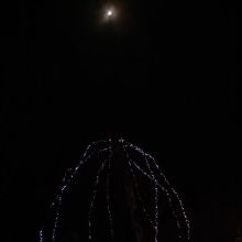 IMG_1080