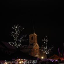 IMG_1871